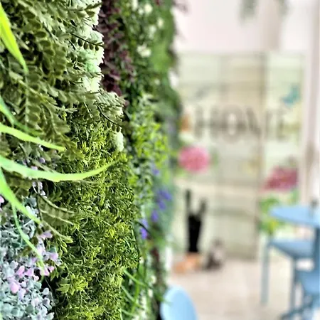 בית הארחה Rainbow 56 ליסבון