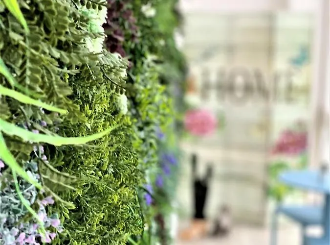 Casa de hóspedes Rainbow 56 Lisboa