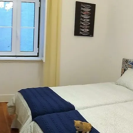 Rainbow 56 게스트하우스 3*